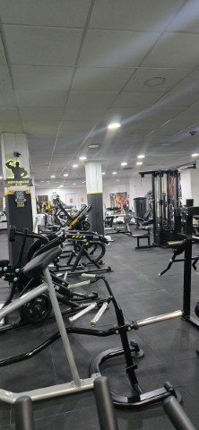 Body flex Gym