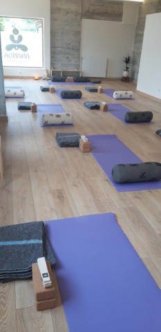 Ananda Yoga Eskola