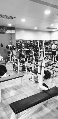 Gimnasio Nou Model