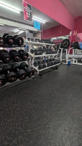 FactorGym