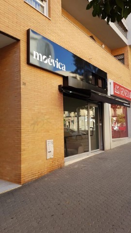 Moevica (Vida en movimiento)