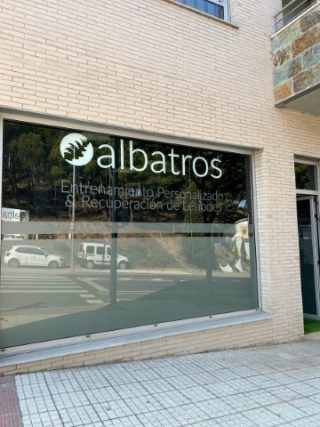 Albatros entrenamiento personalizado y recuperación de lesiones
