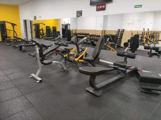 Body Fitness
