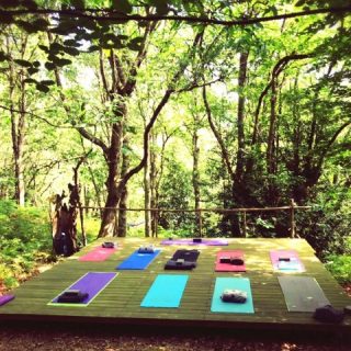 Bosque Escondido Arte
