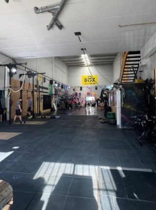 Box Bulls Factory