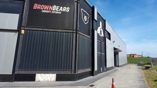 Brown Bears