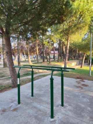 Calistenia Street Workout