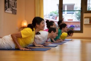 Centro de Yoga Sivananda
