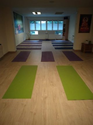Centro de Yoga y Meditación Integral Shakti Tafalla