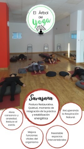 El Árbol del Yoga