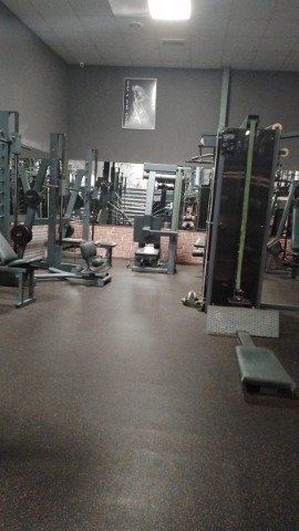 Eurogym Body-fit