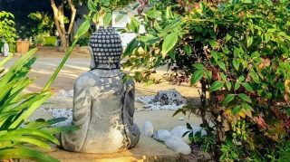 LAXMI YOGA, ALMA & CONSCIENCIA