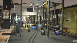 Lizard Gym