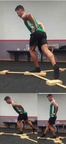 mata trainer