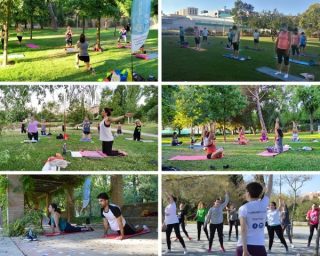 Mysocialfit