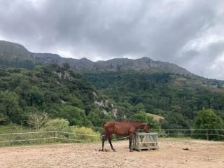 Socueto Santuario - Clases y retiros de Yoga y Pilates en Asturias