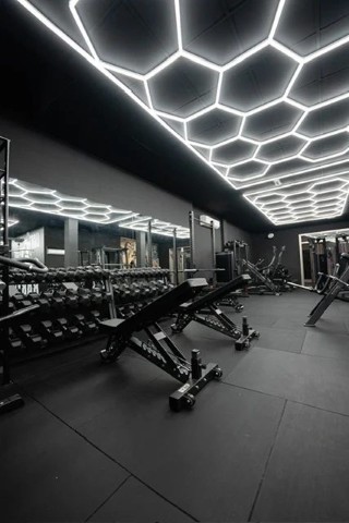 The Office Gym