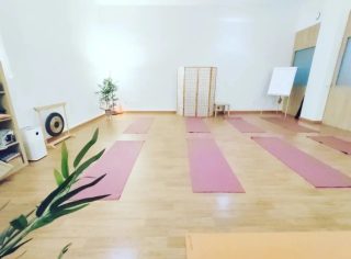 VINYASA Yoga