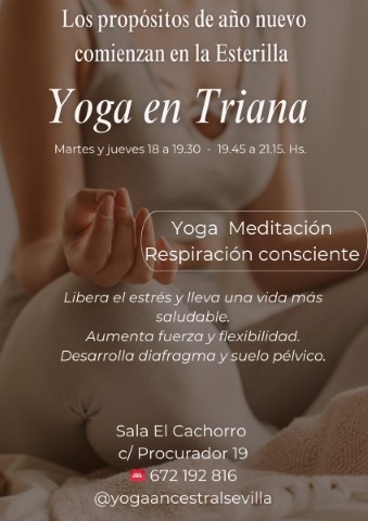 Yoga Ancestral Sevilla