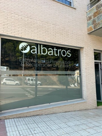 Albatros entrenamiento personalizado y recuperación de lesiones