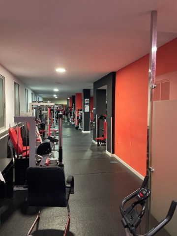 Gimnasio Scorpio