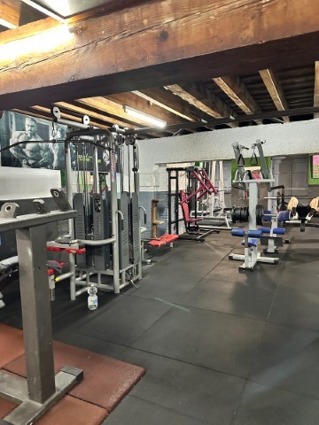 Gimnasio winner