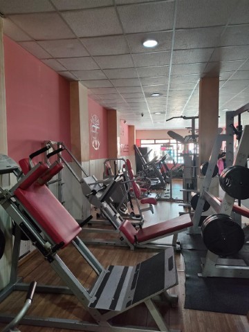 Gym Body Fitness
