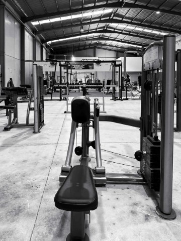 GymLife Balsicas