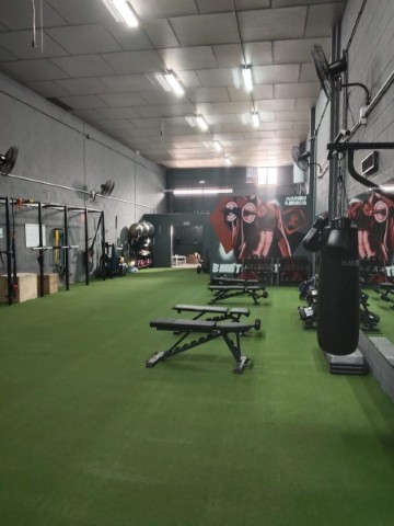 Juandi Trainer