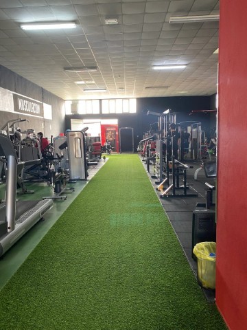 PODIUM GIMNASIO