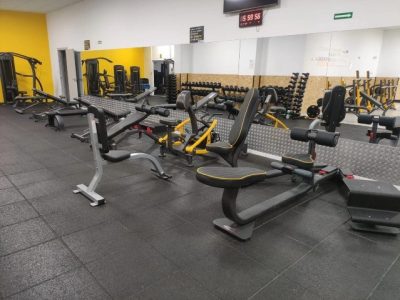 Body Fitness