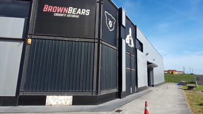 Brown Bears